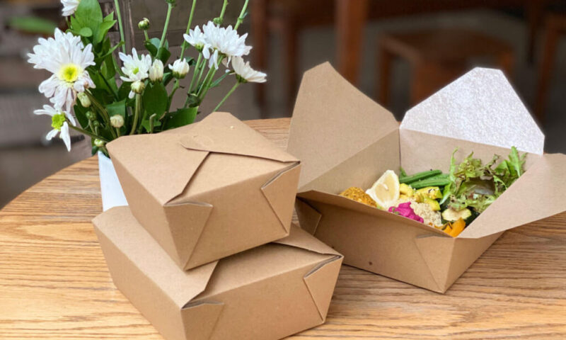 Paper vs Plastic